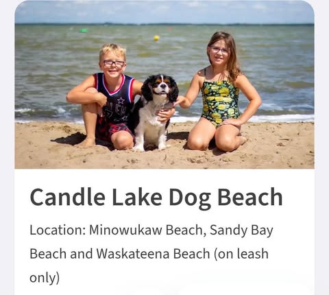 Dog beach at Candle Lake