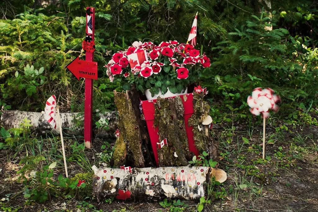 Mystical Forest display in Candle Lake
